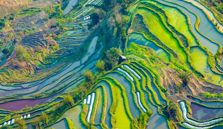 走进临桂区TVC拍摄：解锁本地化场景与创意镜头的完美融合